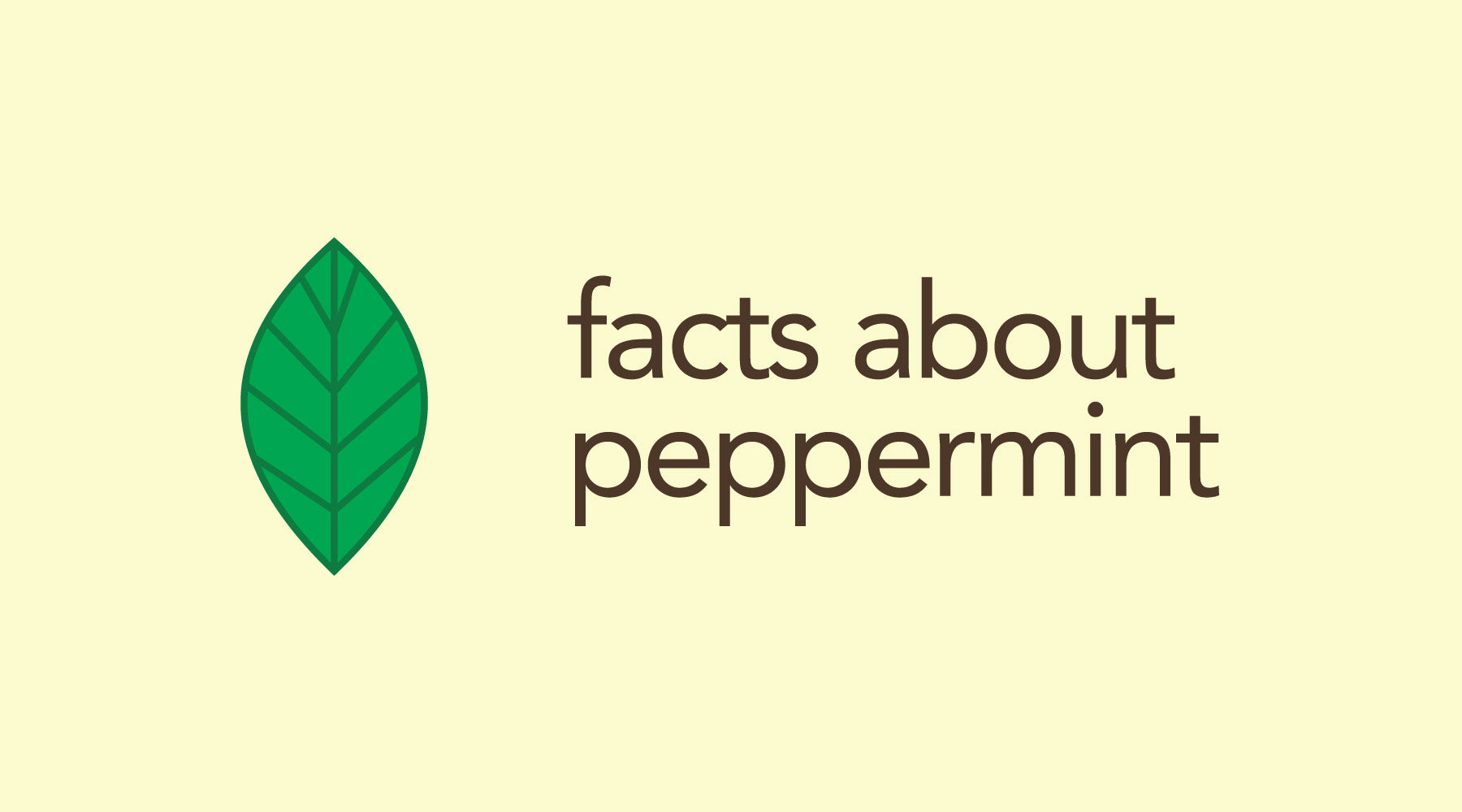 Seven Interesting Peppermint Facts You Probably Didn't Know